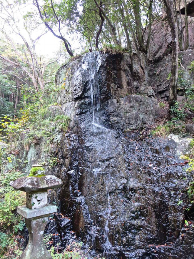 風光る コズミックホリステック医療 俳句療法