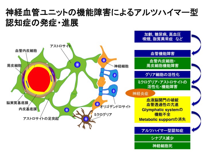 研究内容 | 神戸薬科大学医療薬学研究室