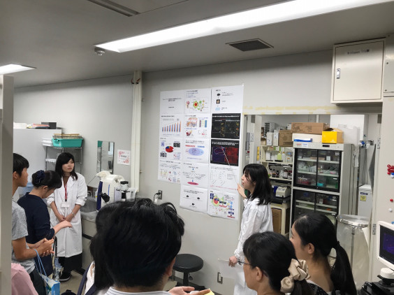 オープンキャンパス 神戸薬科大学医療薬学研究室