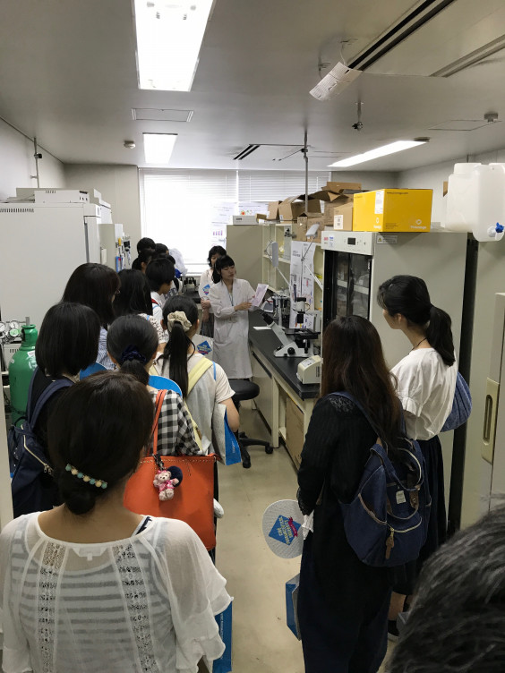 オープンキャンパス 神戸薬科大学医療薬学研究室 オープンキャンパス 神戸薬科大学医療薬学研究室