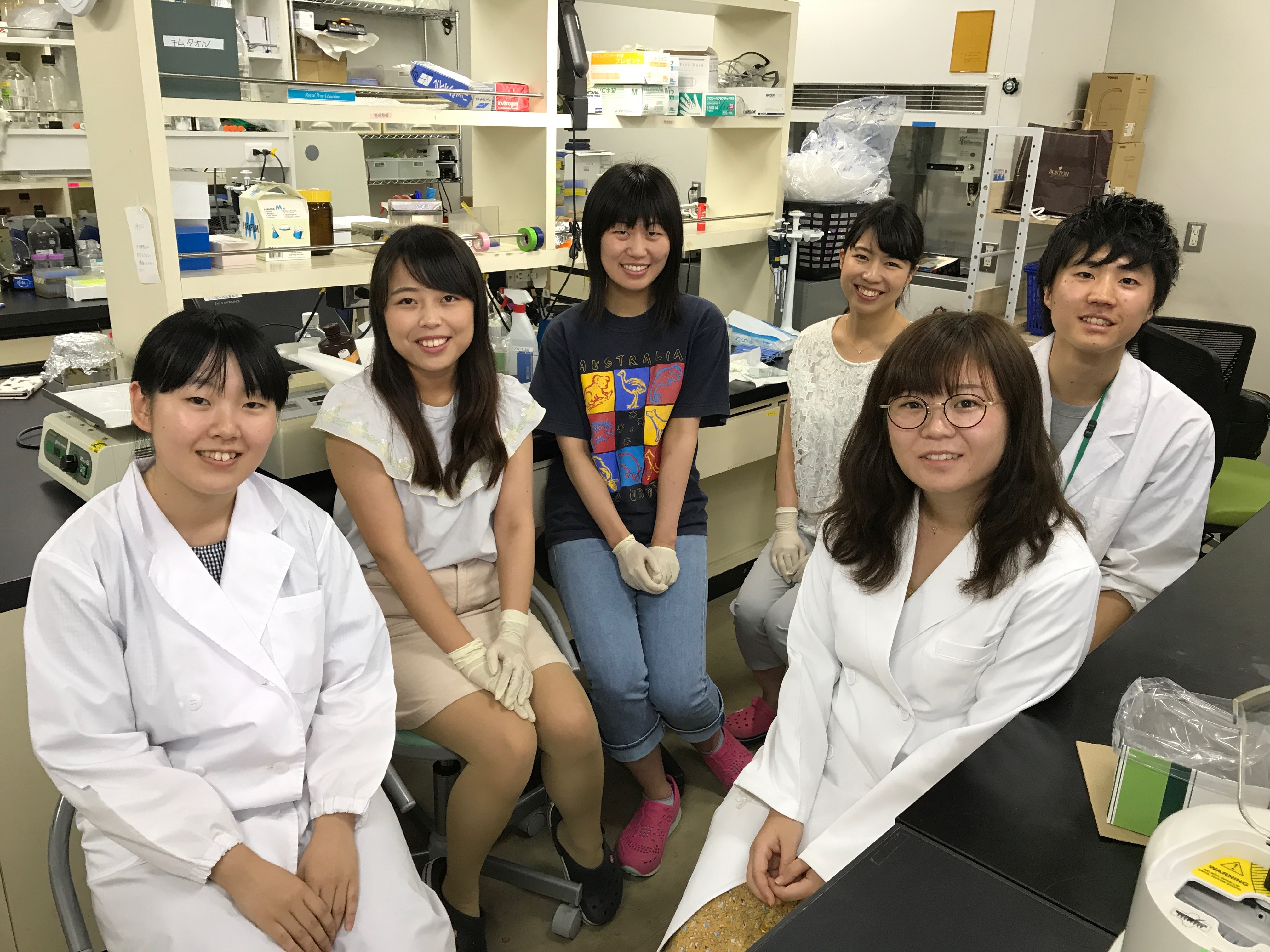 アクティブラボ その１ 神戸薬科大学医療薬学研究室