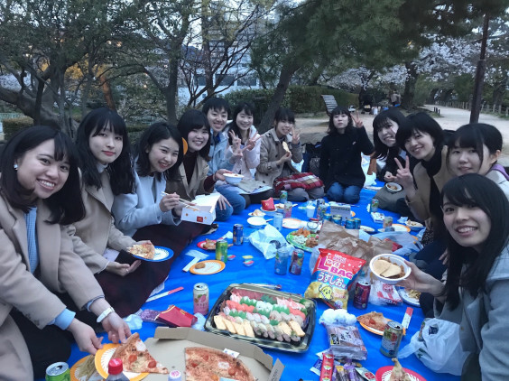 お花見 神戸薬科大学医療薬学研究室