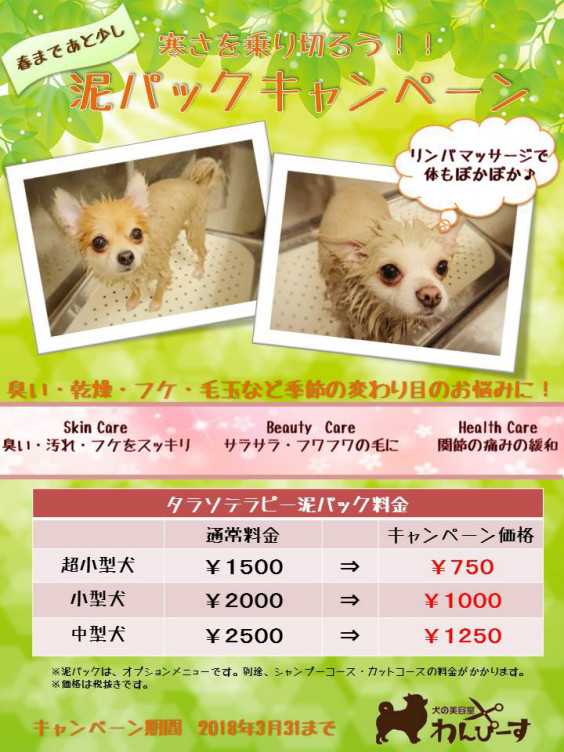 泥パックキャンペーン Wanpeace Dog Salon S Ownd In Hamamatsu