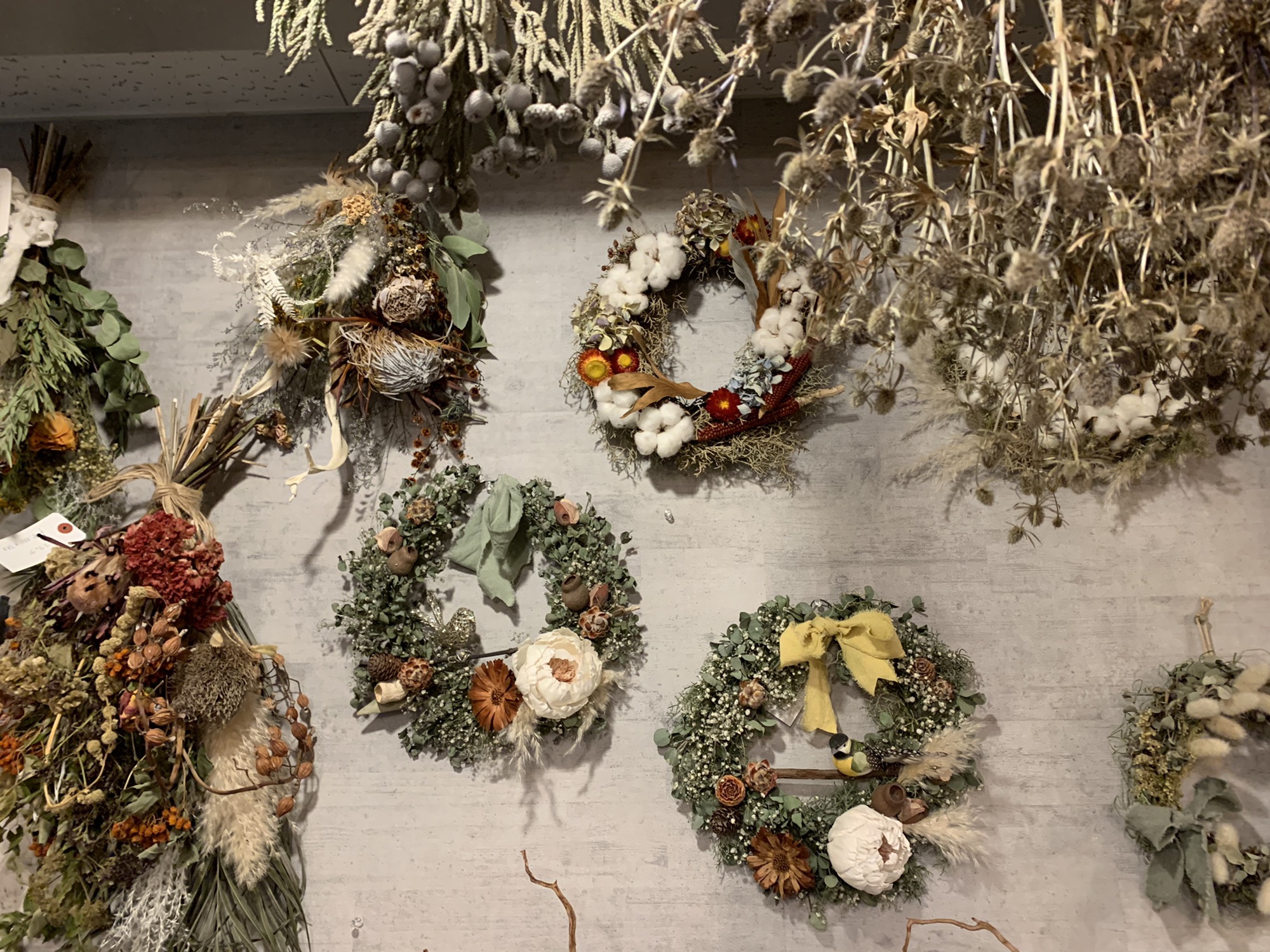 drying flowers | ドライフラワー専門店 LYRICAL 専用＊リューカ