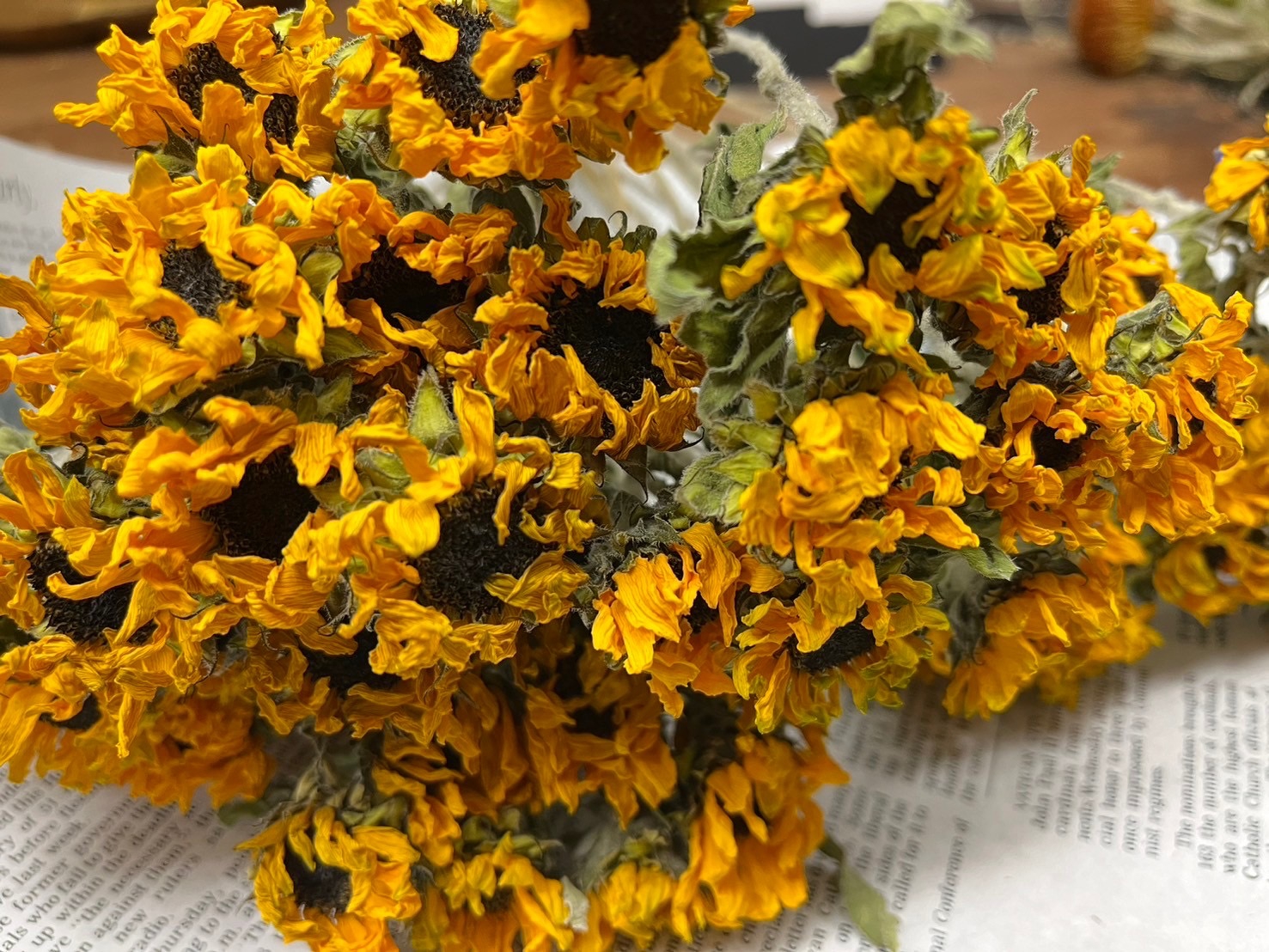 ひまわりのドライフラワー | ドライフラワー専門店 LYRICAL