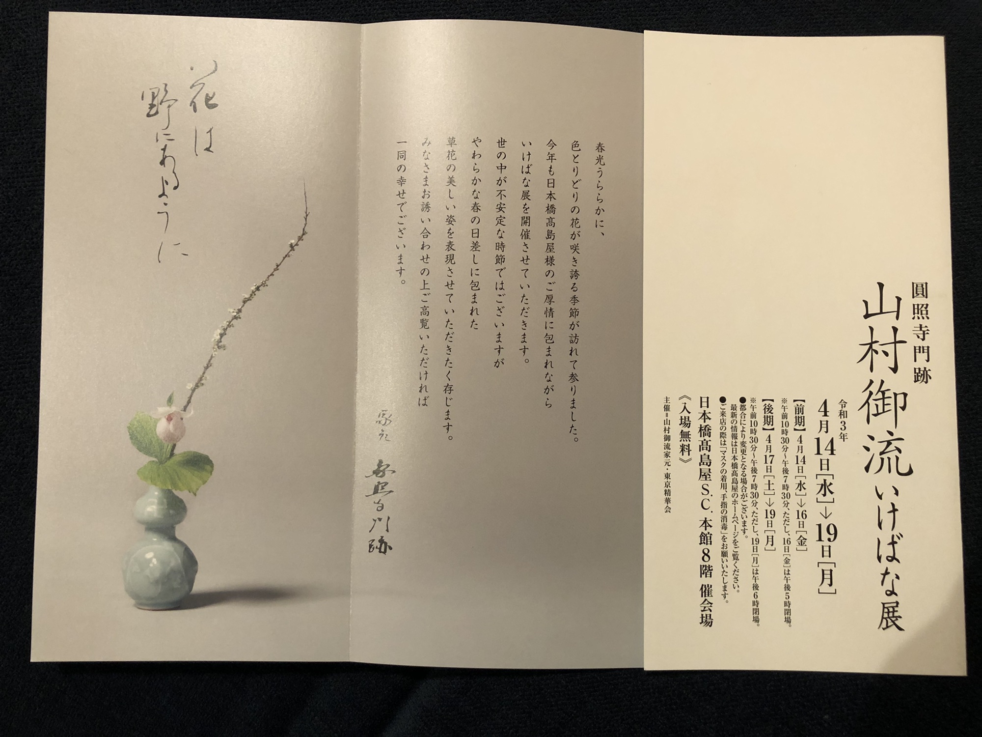 壺中天 天・地・人 照寺 華道山村御流 花伝書 いけばな-