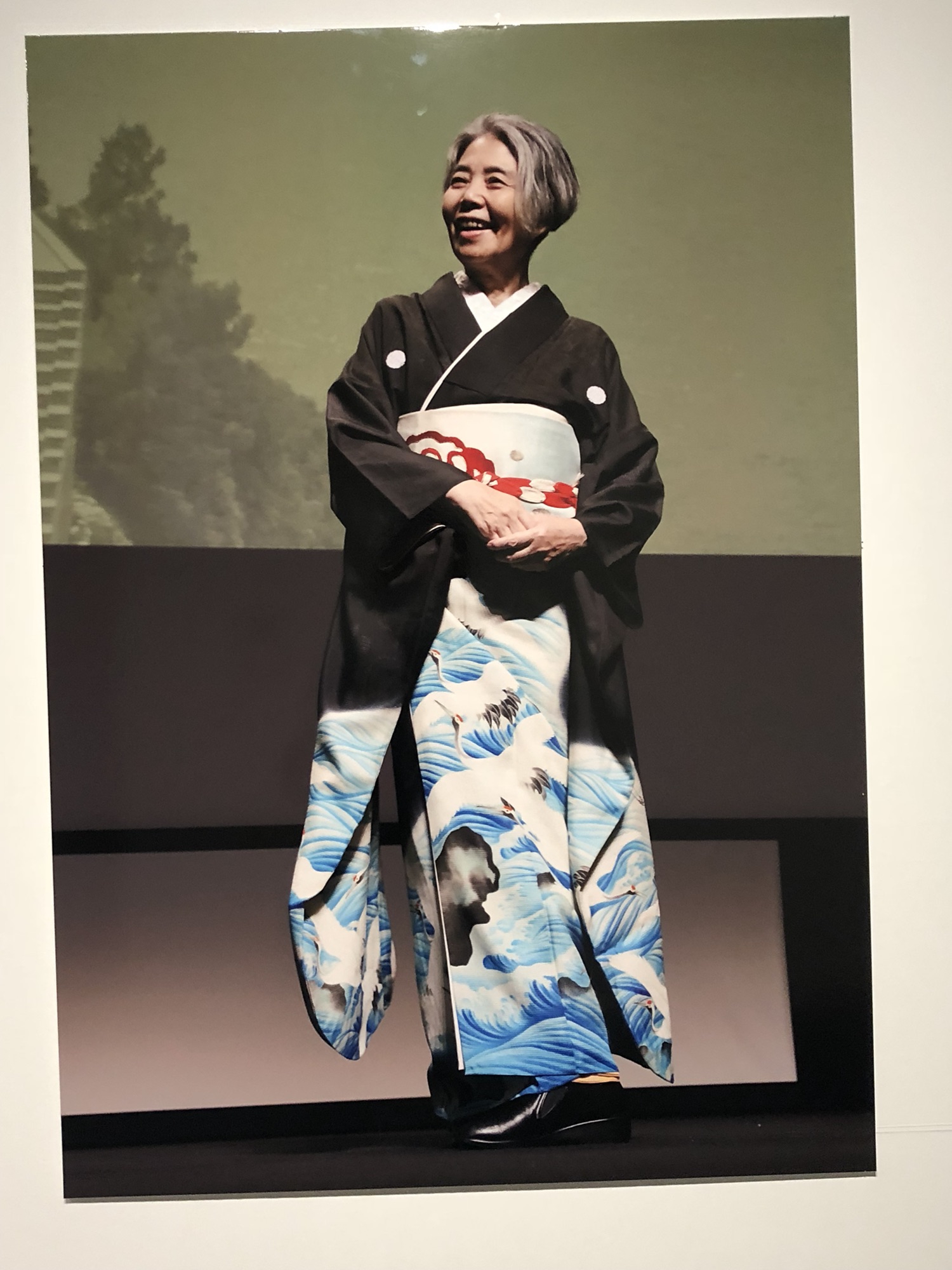 活動歴および当時の関連ビジュアル記録