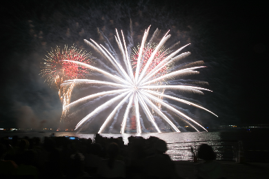 2025実施概要 | MMSF