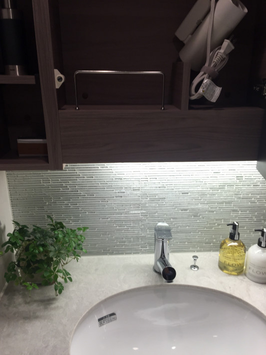 残念な洗面所 Pandanosumika