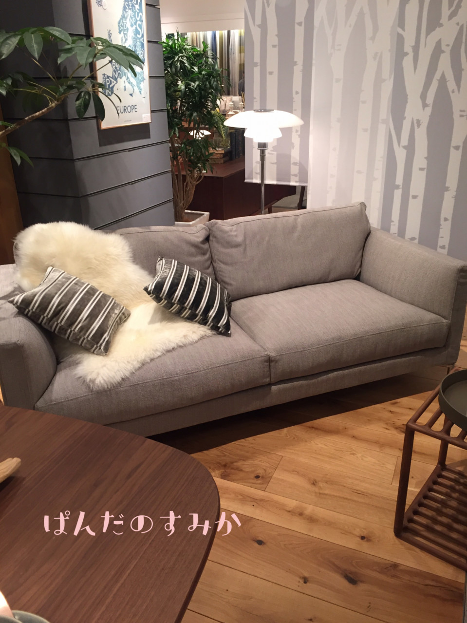ついにソファ購入 Pandanosumika