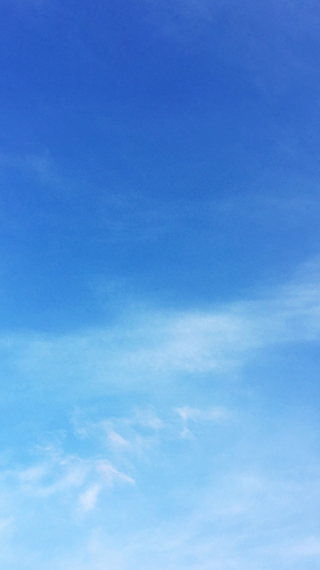 朝の空 自由と絆