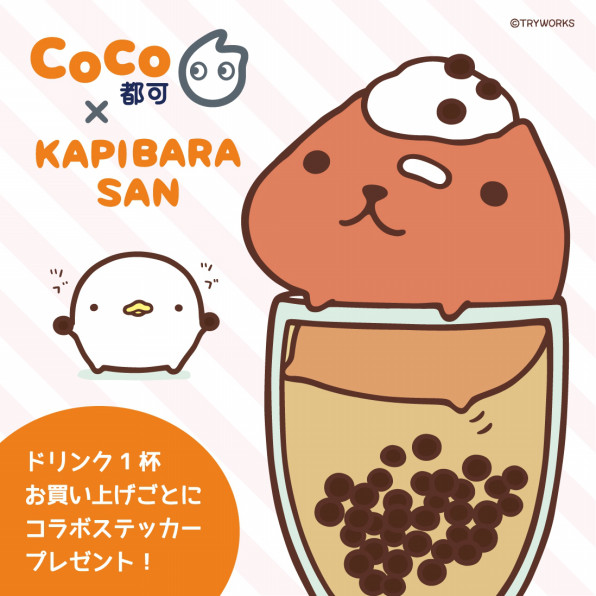 カピバラさん Coco都可 コラボが決定 Coco都可 Jp Official Site