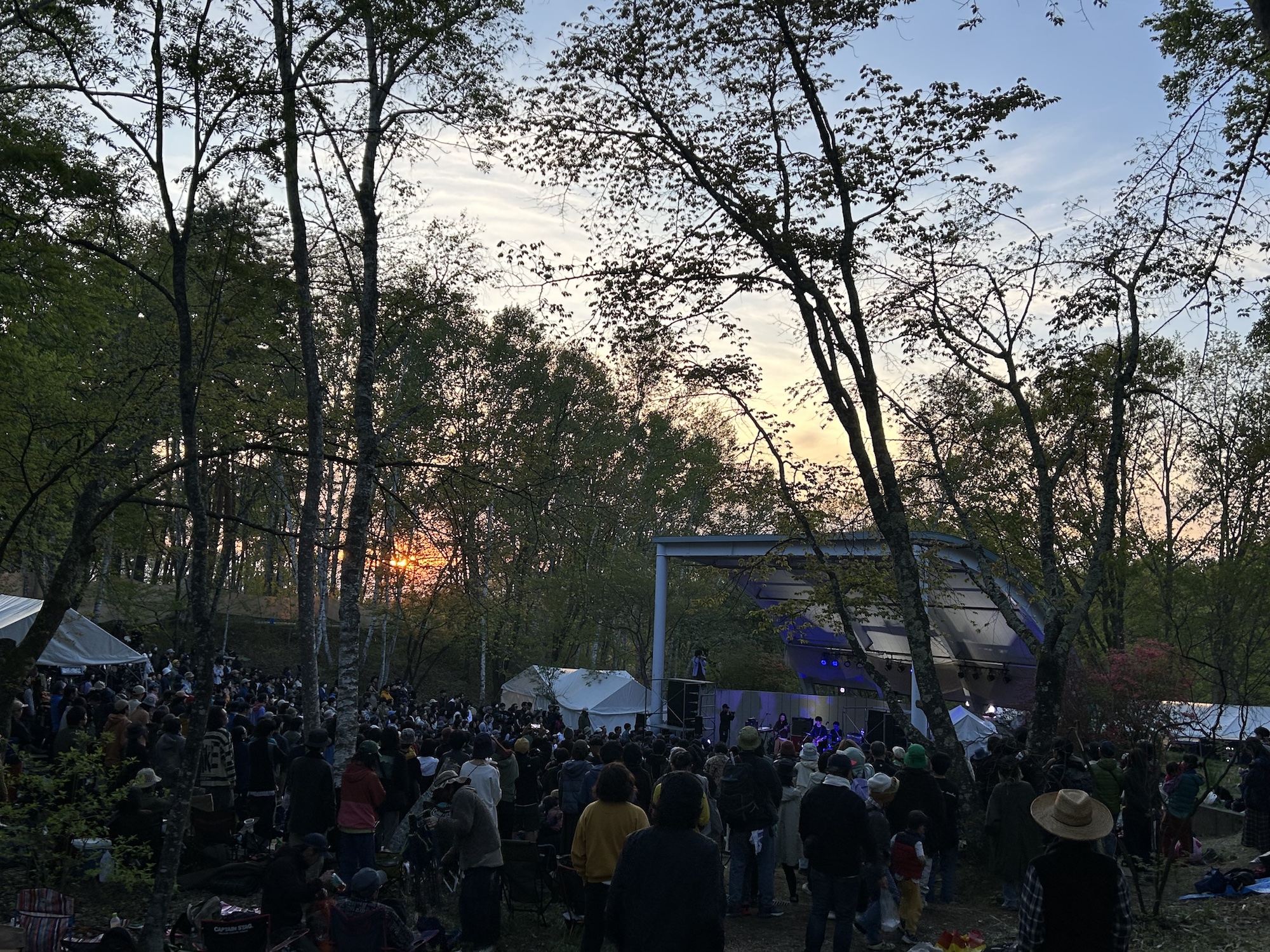 ブラリフェス24／”