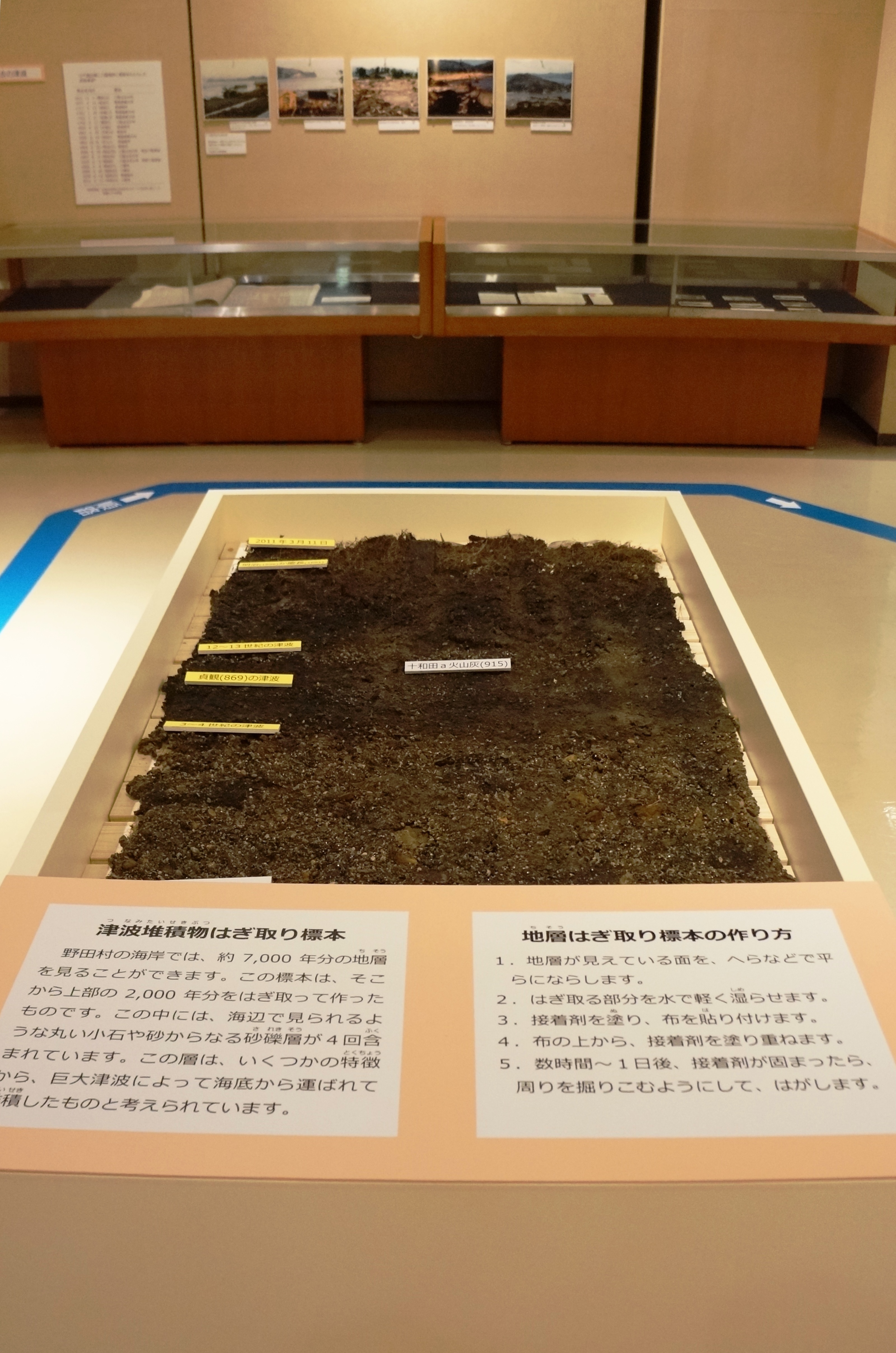 岩手北三陸 野田村「約7,000年間にわたる津波堆積物層序」 | 北三陸 