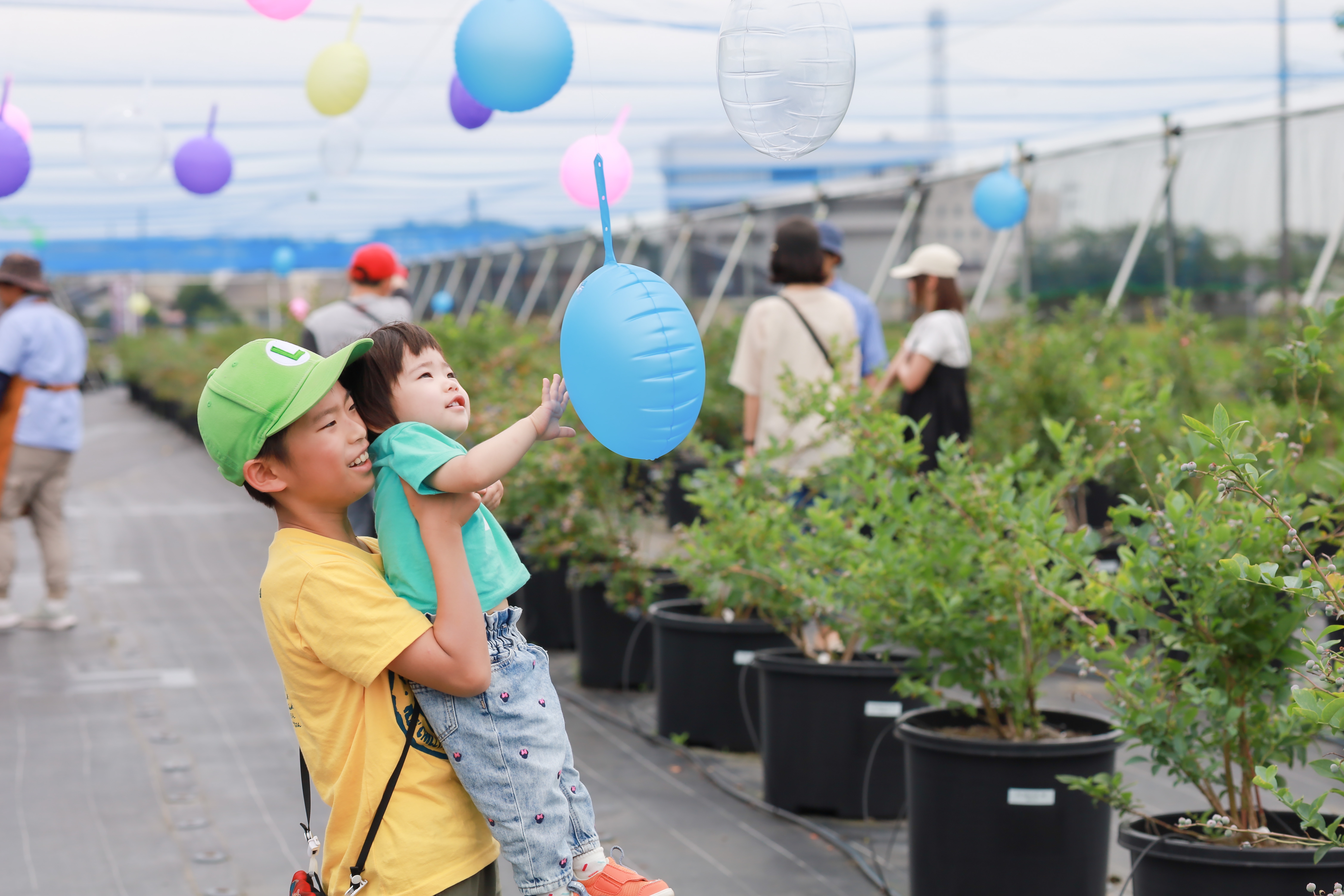 なれしばサンクガーデン Blueberry Farm