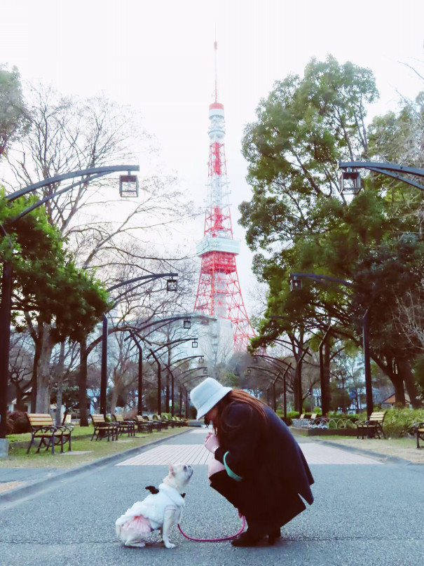 東京タワーと一緒に撮影 おススメ撮影スポットを紹介 Towerup