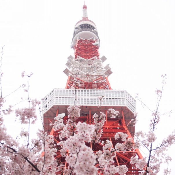 16年4月2日 東京タワーと桜 Towerup
