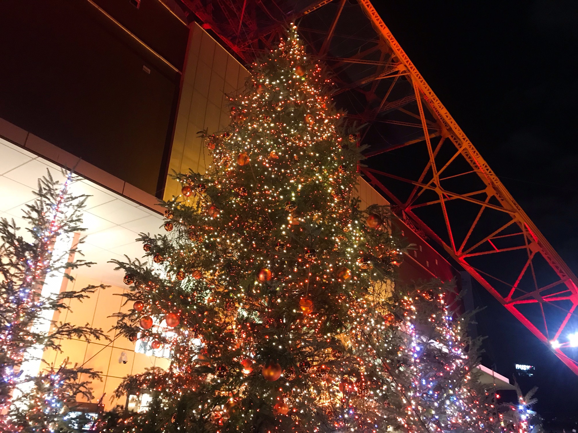 2018年11月3日「東京タワー ダイヤモンドヴェール 「クリスマスツリー