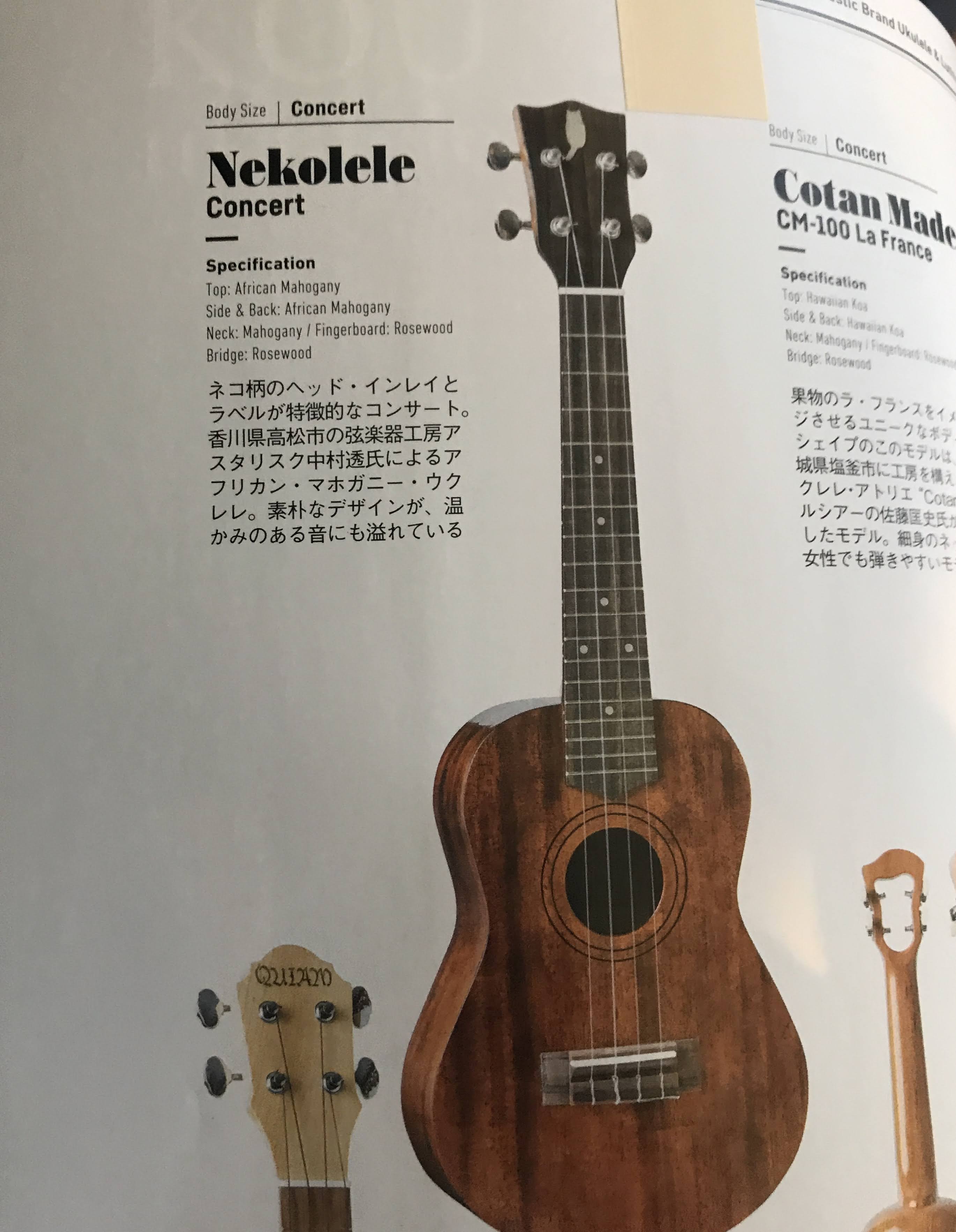 女性が喜ぶ♪ ウクレレ ネコレレ [Ukulele 雑誌