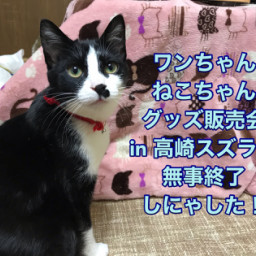 手作り猫雑貨専門店 猫のひげ