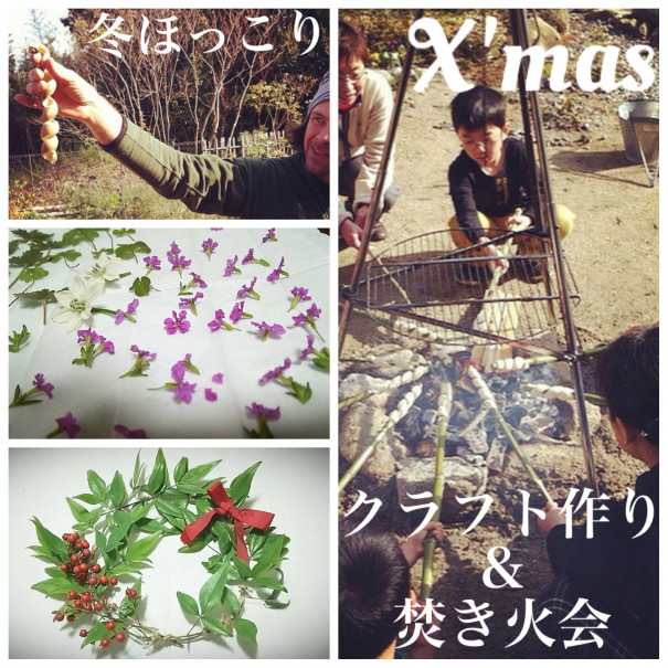 今年も開催 ほっこりx Mas焚き火会 自然の英語工房 Eigokobo