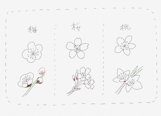 水墨画基礎教室 半切1 2に梅を描く 荒井水墨画教室ホームページ 水墨画基礎教室 半切1 2に梅を描く 荒井水墨画教室ホームページ