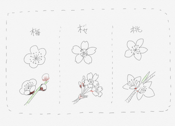 水墨画基礎教室 半切1 2に梅を描く 荒井水墨画教室ホームページ