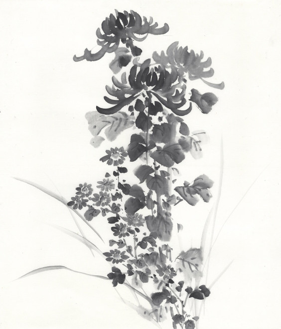 水墨画基礎講座「F10号に菊を描く」 | 荒井水墨画教室ホームページ