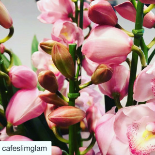 カフェ畑れんげ ページ3 Npo法人やまぼうし