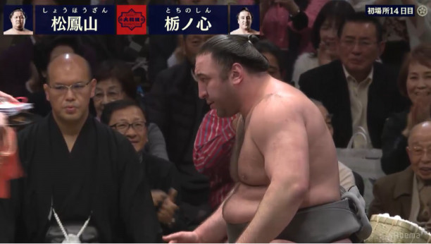 ニュース 大相撲