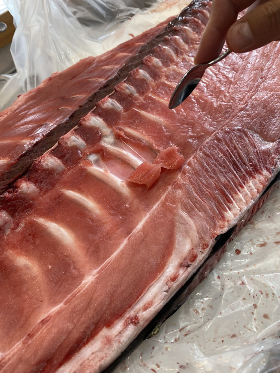 まぐろの日 始めました 創作料理 花ゆい