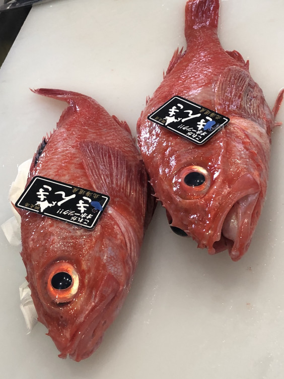 高級魚 きんき 入荷です 創作料理 花ゆい 高級魚 きんき 入荷です 創作料理 花ゆい