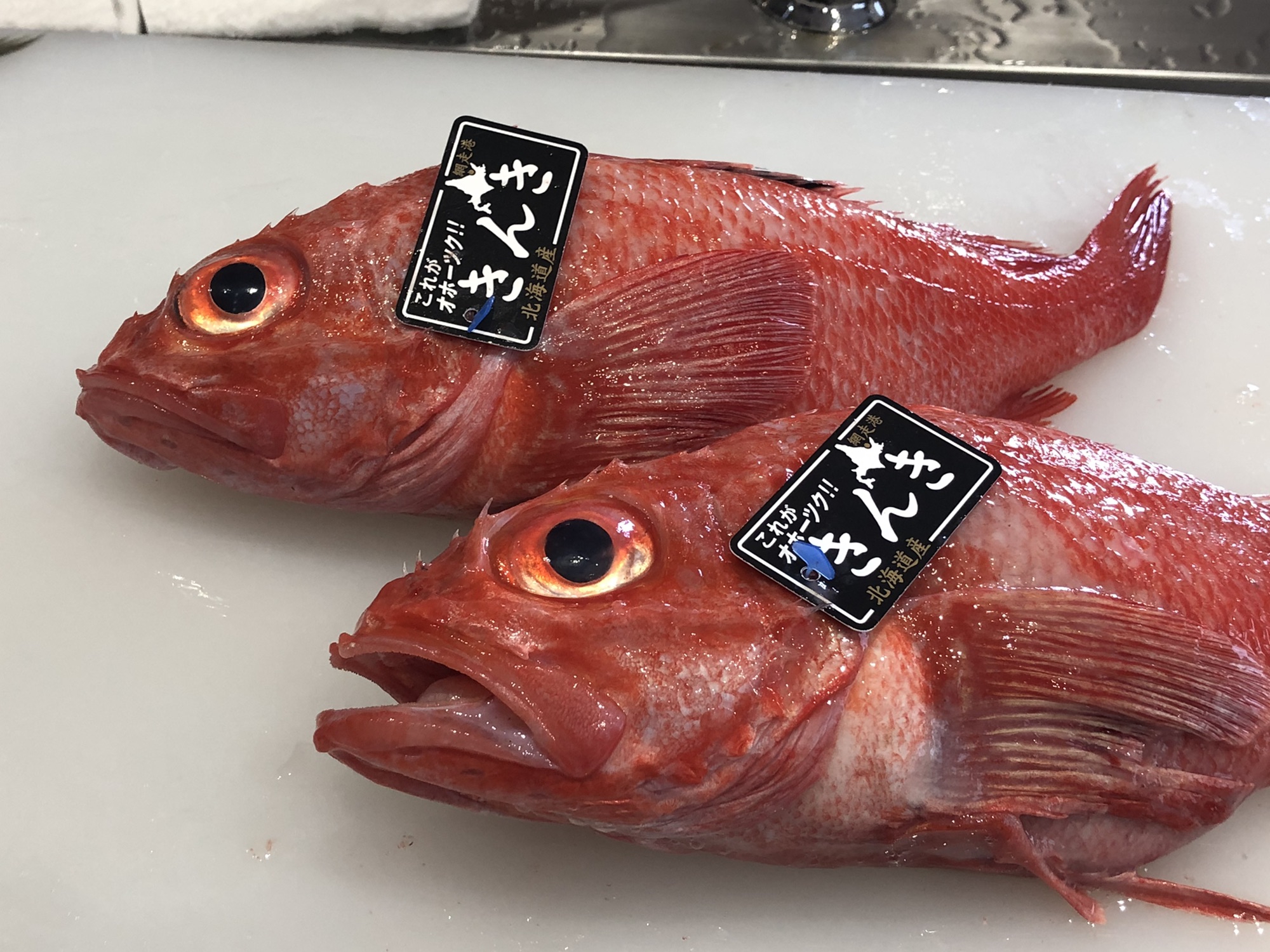 高級魚 きんき 入荷です 創作料理 花ゆい 高級魚 きんき 入荷です 創作料理 花ゆい