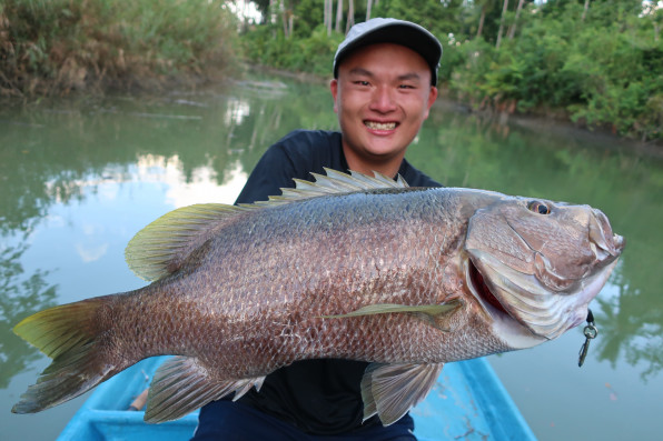 釣り 東インドネシア アンボン島パプアンバスフィッシング ツアー番号ch019 Chilltrip