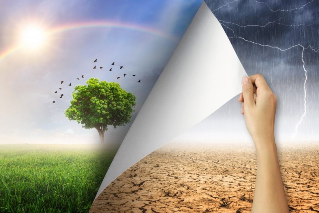 3/29:この一週間が世界を変える?!