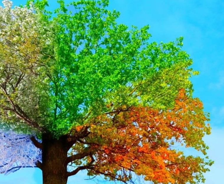 7/27:JFKジュニアより_暑い8月!深い9月!赤い10月で締めくくる?!