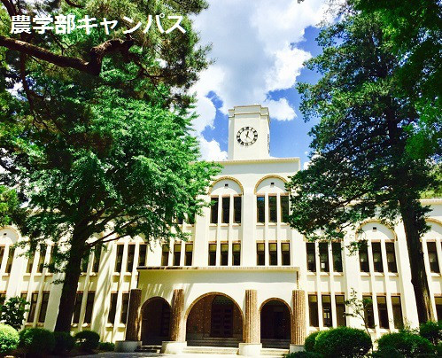 農工大キャンパス 農工大同窓会イノベーション研究会 略称 Nd イノ研 農工大キャンパス 農工大同窓会イノベーション研究会 略称 Nd イノ研