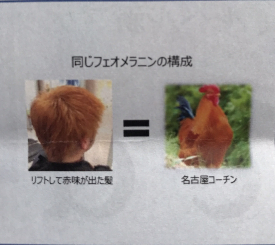 Newカラー剤 Edol エドル 染めたて 1ヶ月後までのレビュー 髪質改善とドライヘッドスパに特化した高知の美容室hair Spa Trico ヘアーアンドスパトリコ 公文雄介のオウンドブログ