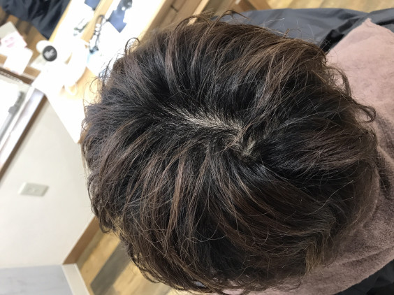 色濃く透けるアプリエミドルで実験だ 髪質改善とドライヘッドスパに特化した高知の美容室hair Spa Trico ヘアーアンドスパトリコ 公文雄介のオウンドブログ