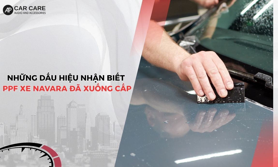 Sai lầm thường gặp khi dán ppf xe Nissan Navara: Bí quyết kéo dài tuổi thọ phim đến 10 năm Sai lầm thường gặp khi dán ppf xe Nissan Navara: Bí quyết kéo dài tuổi thọ phim đến 10 năm
