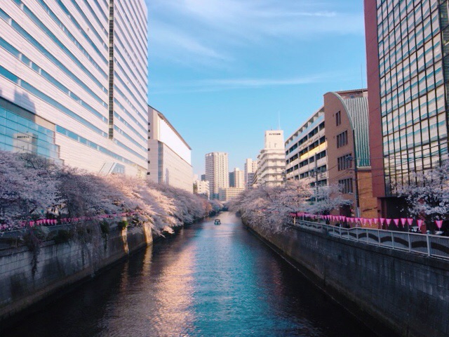 目黒川 | KINNOHO きんのほ