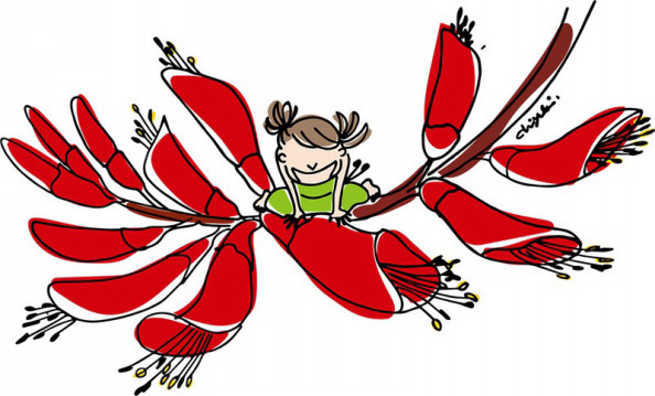 奄美フラワーエッセンス デイゴ フラワーエッセンスサロン華彩 Hanairo