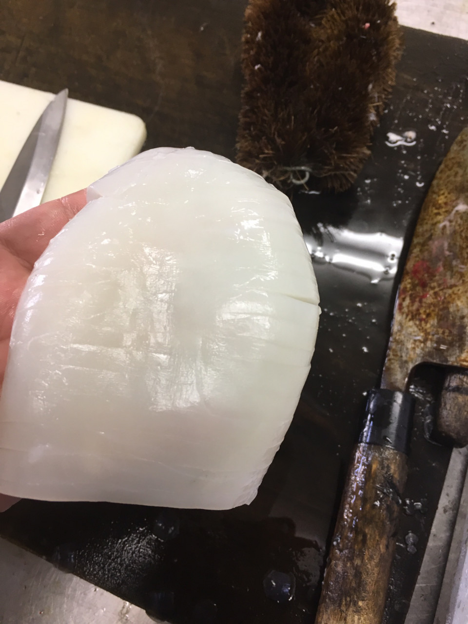 イカのお刺身にひと手間 カネト水産株式会社 瀬戸内 ぴっちぴちの魚屋さん