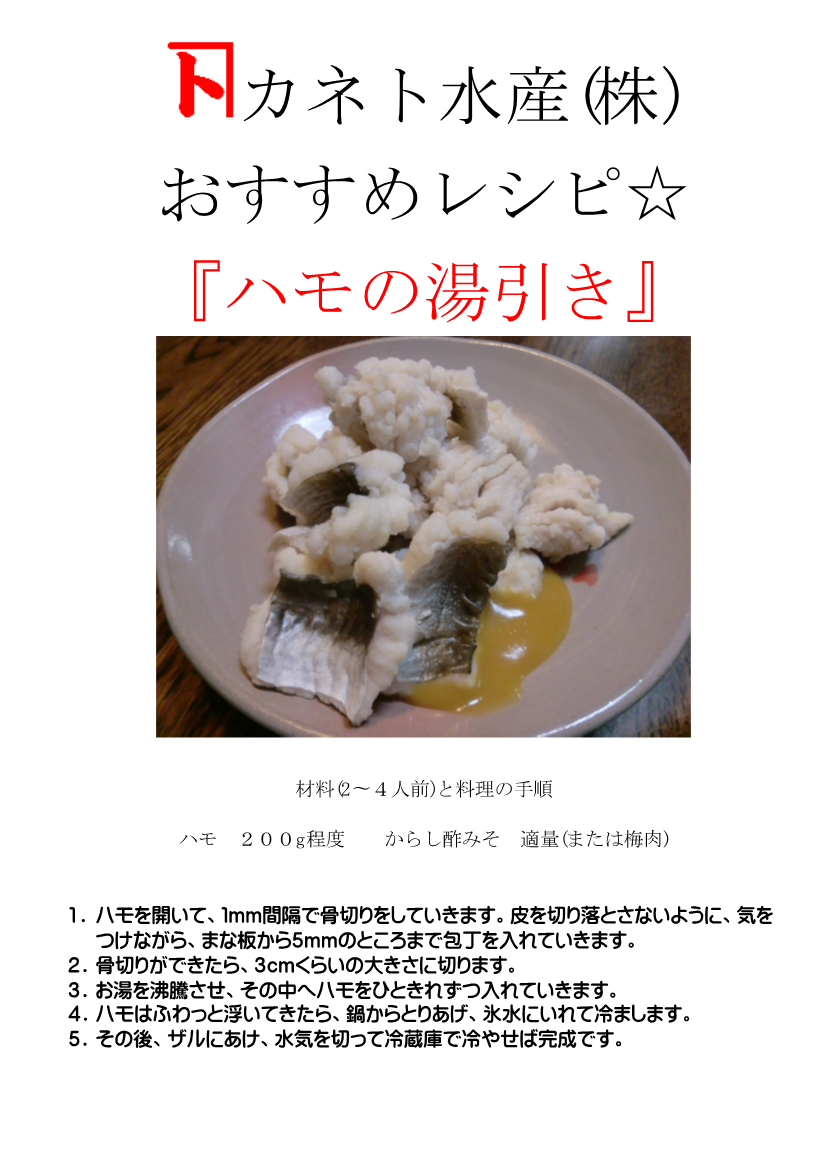 社長ブログ これからハモが旬です カネト水産株式会社 瀬戸内 ぴっちぴちの魚屋さん 社長ブログ これからハモが旬です カネト水産株式会社 瀬戸内 ぴっちぴちの魚屋さん