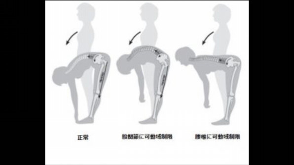 前屈できますか 腰痛 肩凝りにお悩みの方 ﾄﾚｰﾆﾝｸﾞ ｺﾝﾃﾞｨｼｮﾆﾝｸﾞ So Ken