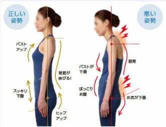 美姿勢 肩こり腰痛 不調知らずのｶﾗﾀﾞ ﾄﾚｰﾆﾝｸﾞ ｺﾝﾃﾞｨｼｮﾆﾝｸﾞ So Ken