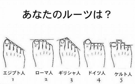 足の形に見るじぶんのルーツ The Media