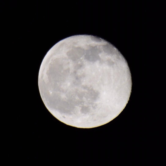 今夜は月が綺麗ですね 杉山正克