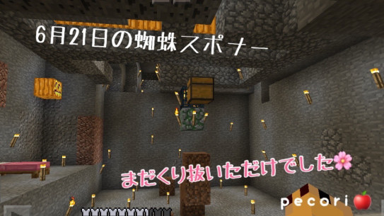 ４２頁 喫茶店の地下二階にトラップ完成 蜘蛛篇 Nohohon Minecraft