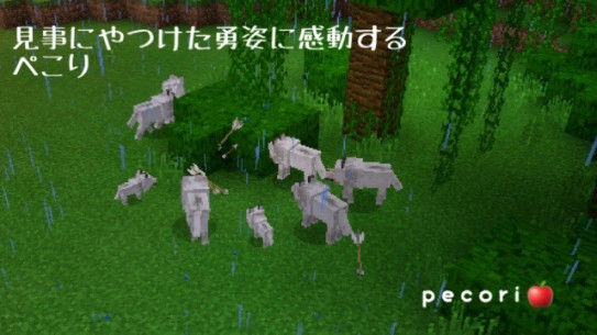 ４４頁 スケルトンの経験値トラップ 作業編オオカミトラップは失敗 Nohohon Minecraft